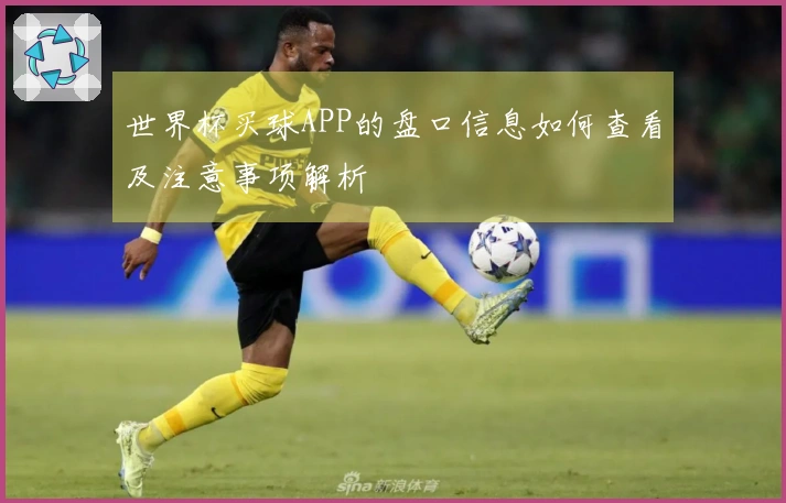 世界杯买球APP的盘口信息如何查看及注意事项解析